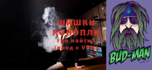 сатива Волоколамск