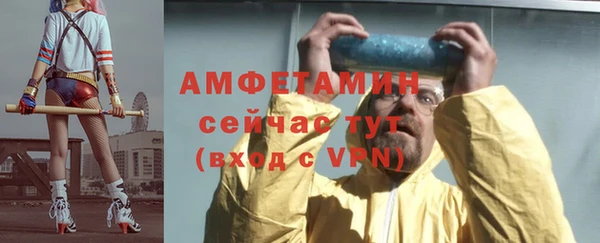 сатива Волоколамск