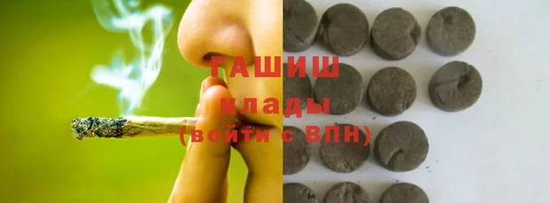 сатива Волоколамск