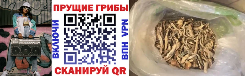 Галлюциногенные грибы Magic Shrooms Заволжье