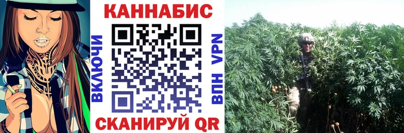 Бошки марихуана конопля  Заволжье 