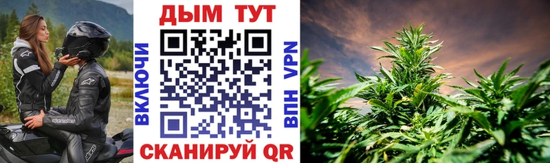 Каннабис ГИДРОПОН Заволжье